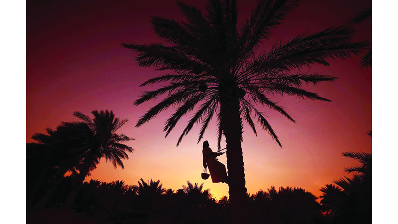 الأمثال وسيلة للحفاظ على التراث الثقافي والتقاليد. أرشيفية