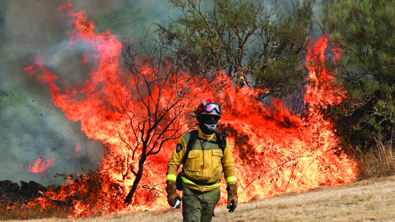 الصور المأساوية لحرائق الغابات التي تجتاح إسبانيا والبرتغال عاماً بعد عام أصبحت ركيزة أساسية في الصيف. رويترز