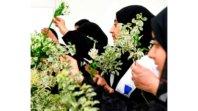 المرأة الإماراتية تعزز تماسك المجتمع وتساهم في بناء وطن يتطلع دائماً للمستقبل. أرشيفية