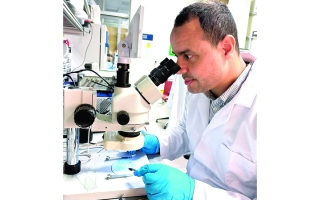 الصورة: تطوير كبسولة لاسلكية تتحكم في أعصاب الأمعاء