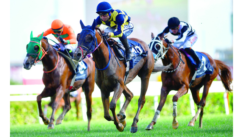 12 خيلاً تتنافس على كأس رئيس الدولة في تركيا اليوم