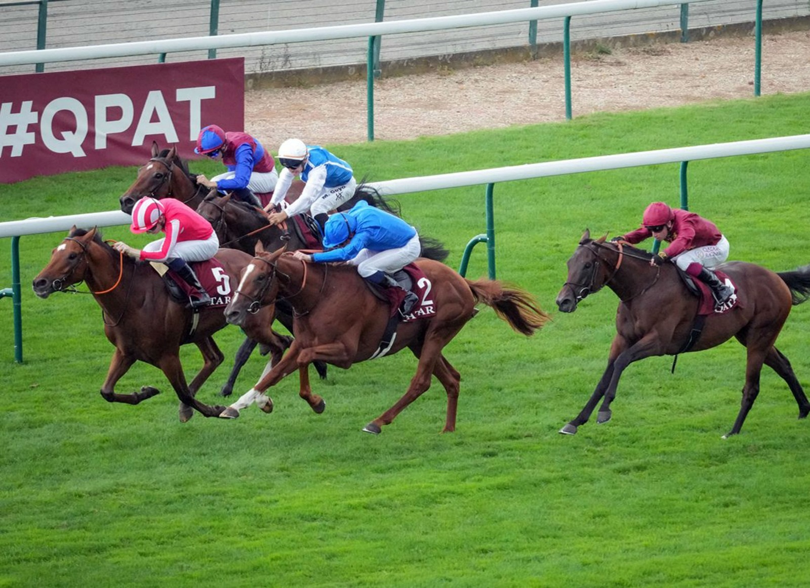 «كواليفكار» بشعار «غودولفين» يتوج بلقب «بري نيل» الفرنسي