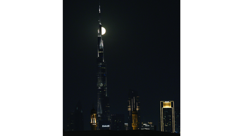 تصوير: باتريك كاستيلو وزافيير ويلسون