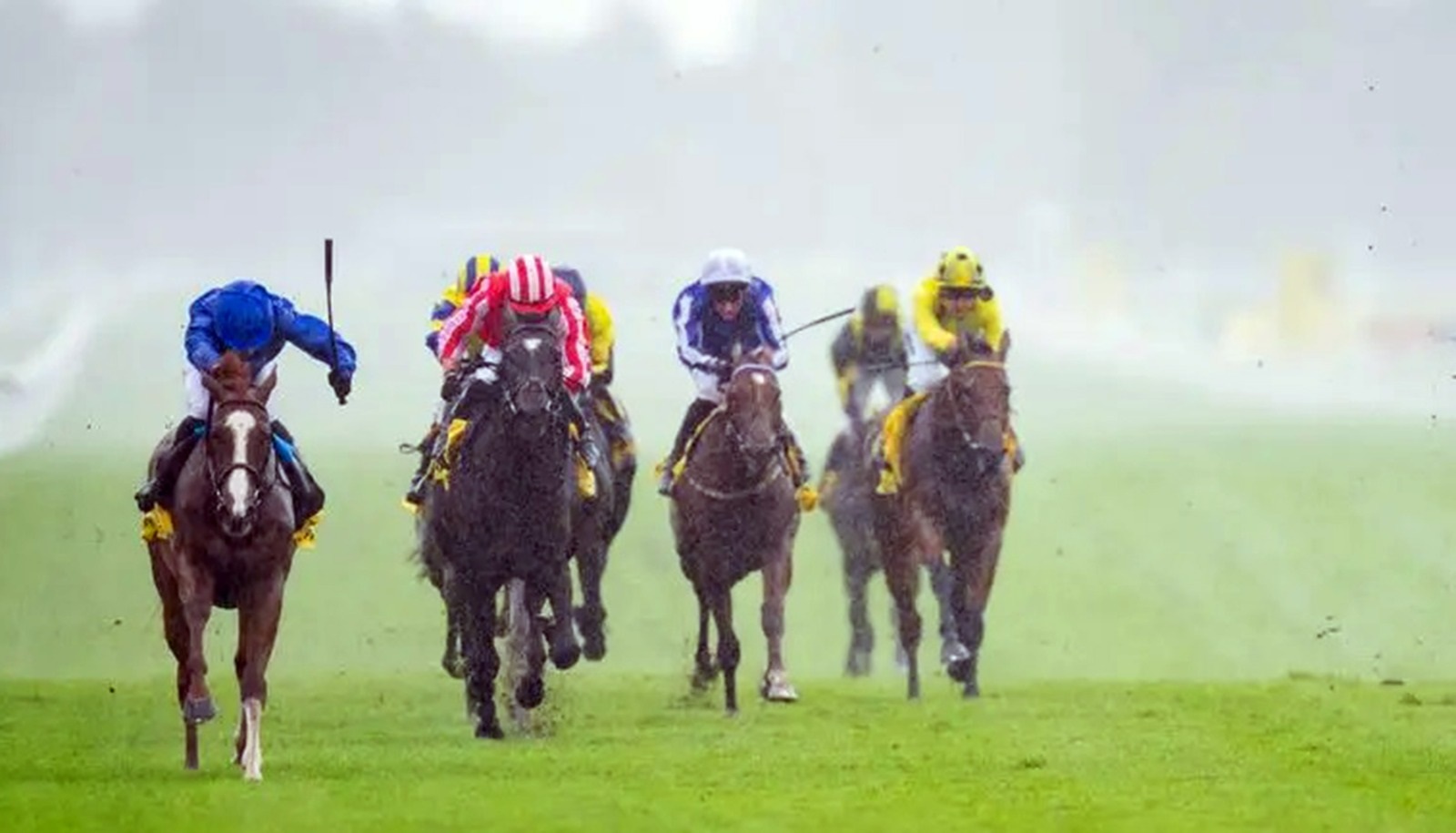 «ووردس اوف تروث» بشعار «غودولفين» بطلاً لسباق «ميل ريف ستيكس»