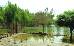 الصورة: فيضانات باكستان تسبّب أضراراً بمليارات الدولارات