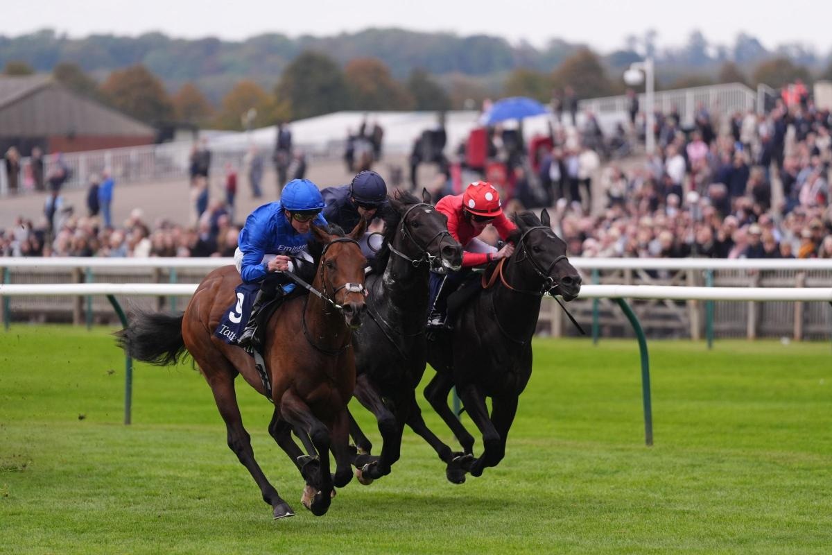 «وايز أبروتش» بشعار «غودولفين» يتوج بطلاً في سباق «ميدل بارك ستيكس»