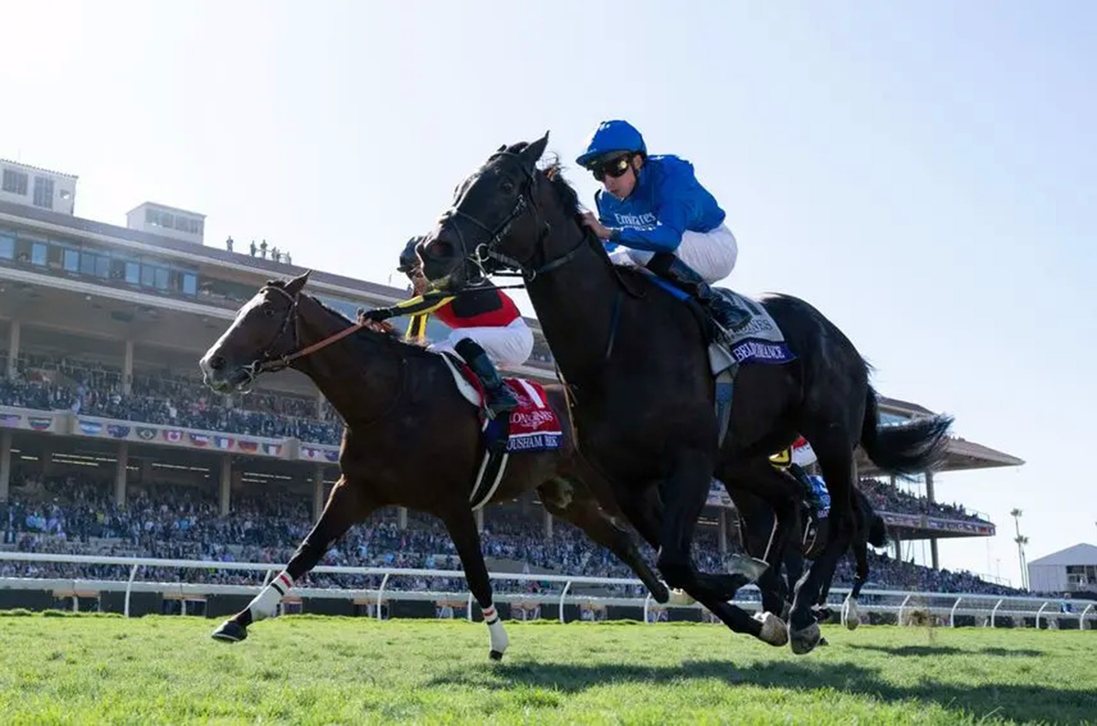 «ريبلز رومانس».. الأكثر فوزاً بتاريخ فريق غودولفين