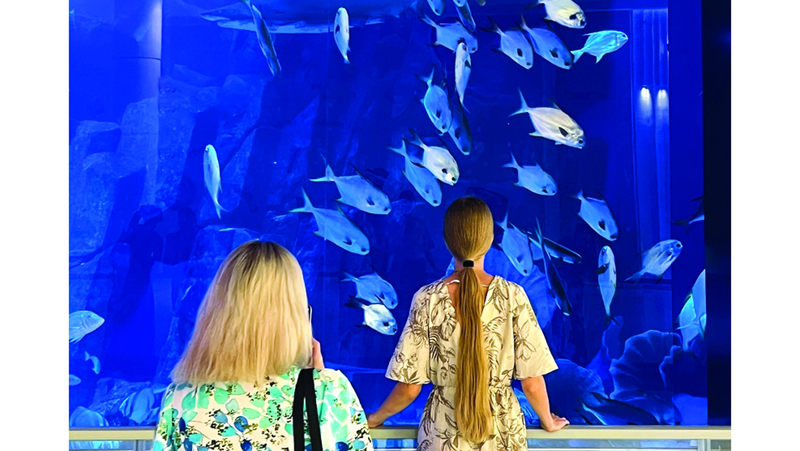 تصوير: إريك أرازاس