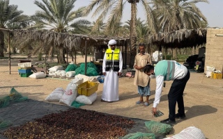 الصورة: "تدوير" تطلق حملة "المزارع المستدامة" لتعزيز التخلص السليم من النفايات