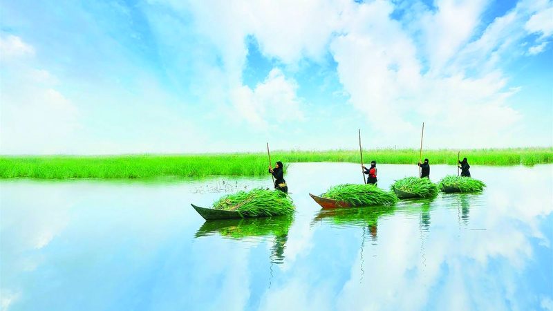 مصطفى تركي – العراق