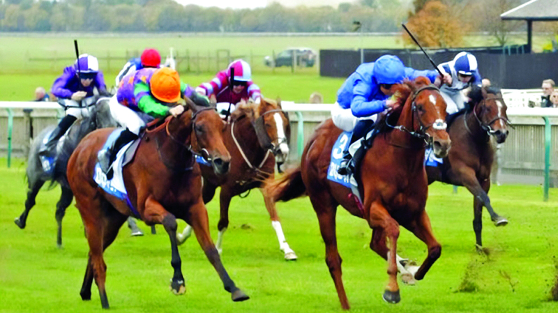 بزمنٍ قياسي.. «بيكفوردز فولي» بطل «كورنواليس ستيكس» البريطاني