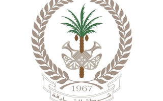 الصورة: شرطة الشارقة تضبط عصابة احتالت على بائعي المركبات بإيصالات مزوّرة