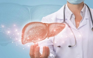 الصورة: مشروبات تؤذي الكبد وتتسبب بتراكم الدهون فيه.. وإليك الخيار المجاني الأمثل