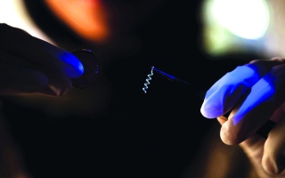 الصورة: باحثون في «نيويورك أبوظبي» يبتكرون جهازاً لعلاج «الاضطرابات» في الدماغ