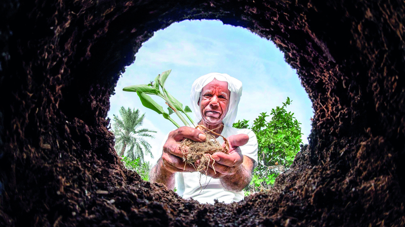 حسين سعيد الهاشم – السعودية