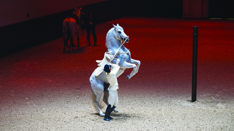 البرنامج يعلّم الفارس التعبير عن كرامة وهيبة الوطن في المحافل الرسمية. تصوير: إريك أرازاس