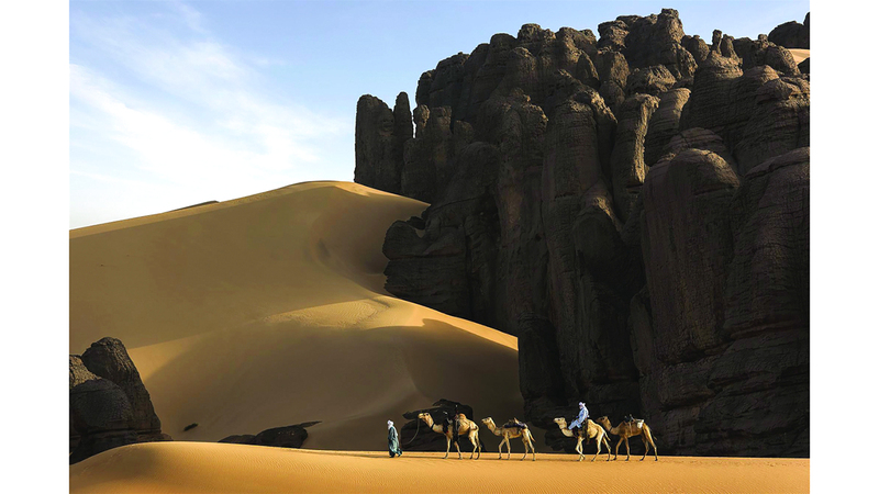 أسامة حمدي – الجزائر