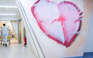 الصورة: نصائح ذهبية للوقاية من أمراض القلب والأوعية الدموية