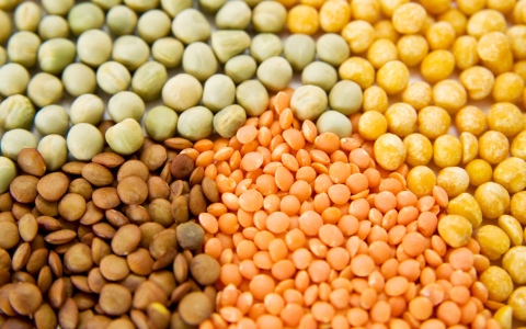 الصورة: المغنيسيوم ضرورة أساسية لصحتك.. هذه فوائده