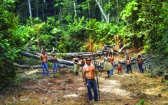 الصورة: البرازيل تحمي محاصيلها الزراعية باستخراج الأسمدة من «الأمازون»