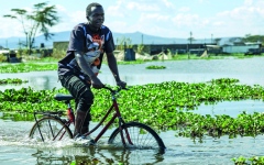 الصورة: فيضانات بحيرة نايفاشا تُشرّد الآلاف في كينيا