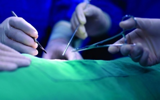 الصورة: مواطن يتبرع بأعضاء طفلته المتوفاة لإنقاذ حياة 3 أشخاص.. ورضيعة تخلّص سيدة من الفشل الكلوي