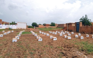 الصورة: الإمارات.. التزام إنساني ودبلوماسي تجاه السودان