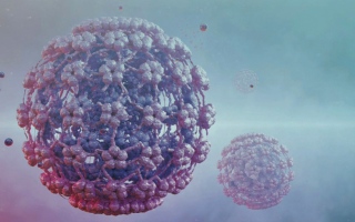 الصورة: اللقاح يحمي من 90% من السرطانات المرتبطة بالورم الحليمي