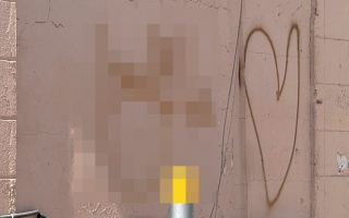 الصورة: تشويه جدران