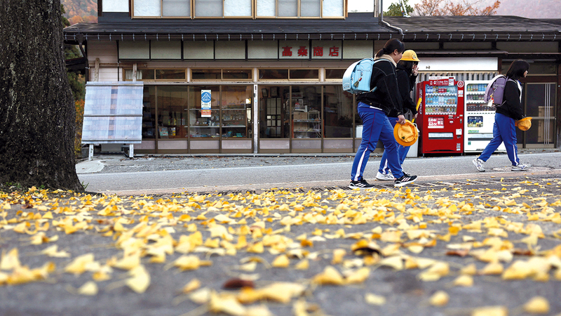محافظة جيفو تعاني تزايد هجمات الدببة. رويترز