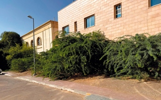 الصورة: الغويف