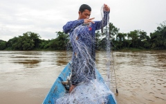 الصورة: تلوّث الأنهار يحرم التايلانديين أكل السمك