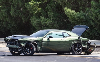 الصورة: سائقون يتسببون في وفاة مرافقيهم.. عقوبات صارمة ومسؤولية أخلاقية لا تسقط    