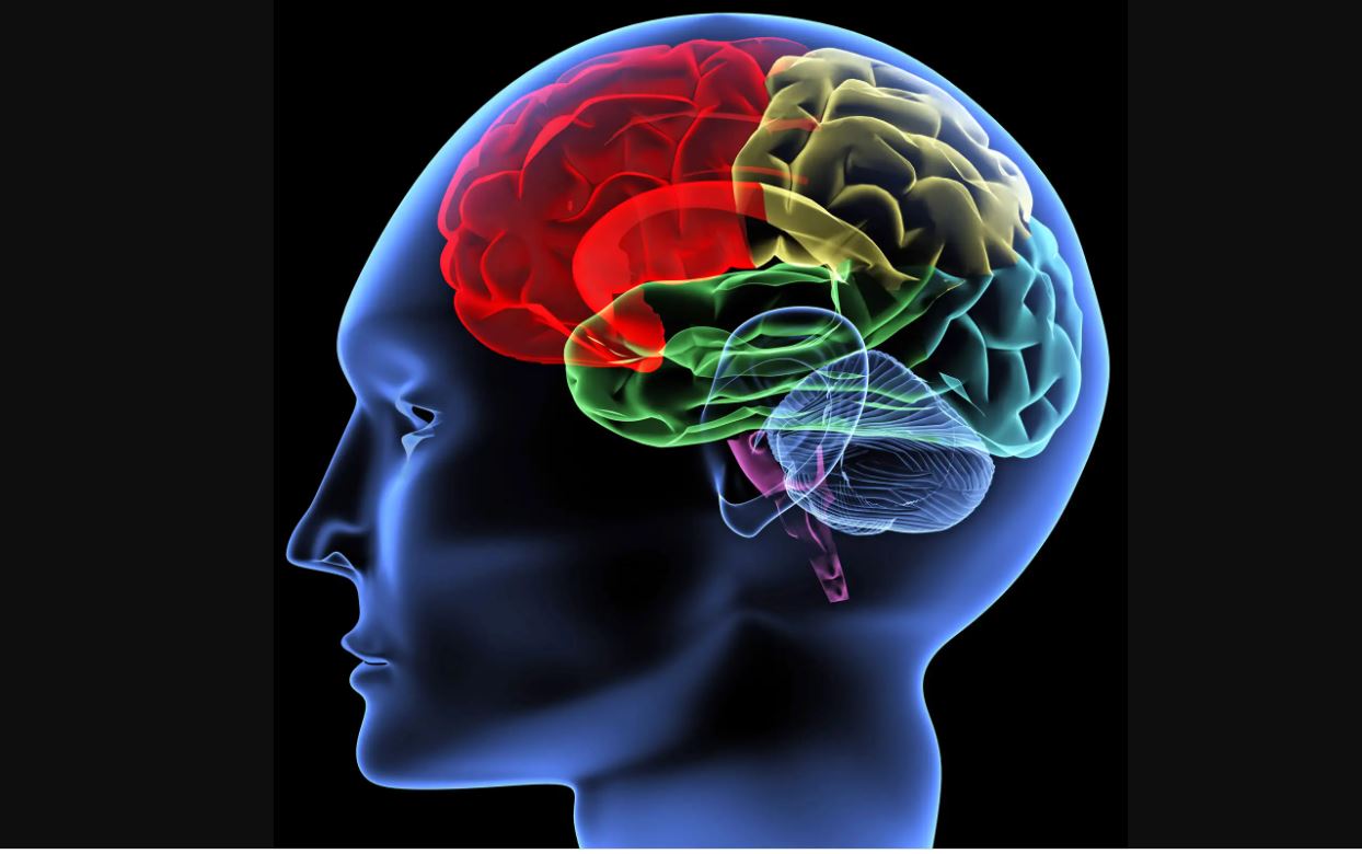 دراسة: المراهقة تستمر حتى 32 عاماً