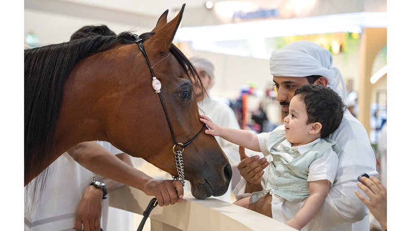 &laquo;المعرض&raquo; يعكس عمق التقاليد الإماراتية.. ويُقدّم تجربة متكاملة تجمع بين الأصالة والابتكار. وام