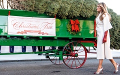 الصورة: ميلانيا ترامب تستقبل شجرة عيد الميلاد بأبهى حلتها