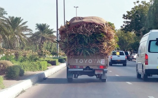 الصورة: مركبات