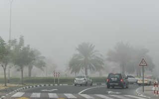 الصورة: "الوطني للأرصاد" يحذر من تشكل الضباب وتدني مدى الرؤية