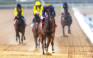 الصورة: 1.84 مليون درهم جوائز الأمسية الثالثة في «كرنفال سباقات دبي»