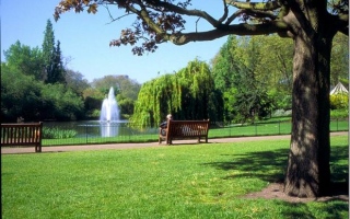 الصورة: دخول مجاني للأميركيين إلى الحدائق الوطنية في عيد ميلاد ترامب