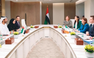 الصورة: الإمارات وإيرلندا تبحثان تعزيز التعاون في &laquo;الاقتصاد الجديد&raquo; و&laquo;السياحة&raquo;