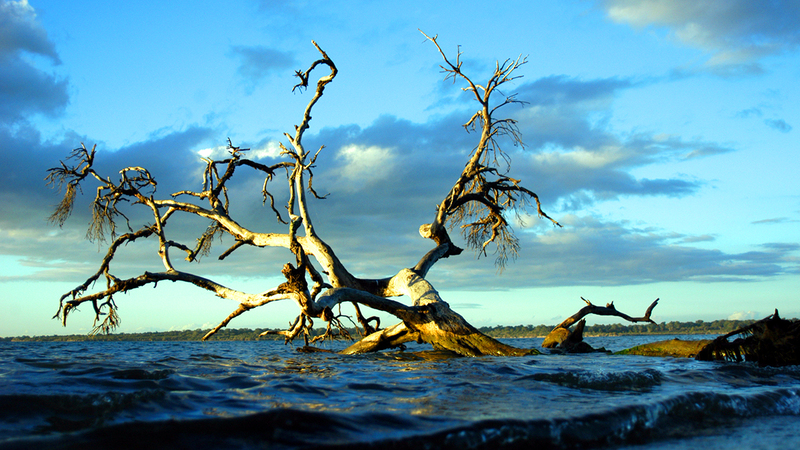 عدسة البلوشي تتعقب الجمال واللحظات الفريدة. من المصدر