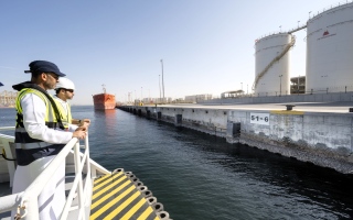 الصورة: "دي بي ورلد" تُركّب أوّل 1000 لوح من الهياكل البحرية الحيّة في ميناء جبل علي