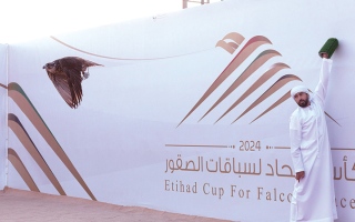 الصورة: دبي تحتضن كأس الاتحاد لسباقات الصقور غداً