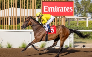 الصورة: &laquo;أطوال&raquo; بطل &laquo;كأس طيران الإمارات&raquo; في مضمار &laquo;جبل علي&raquo;