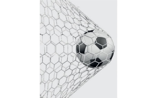 الصورة: لاعب