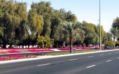 الصورة: ورود الجيمي &nbsp;