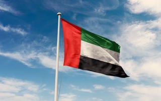 الصورة: حصاد الإمارات 2025.. قوانين وقرارات تعزز العمل الحكومي وتدعم مسيرة التنمية