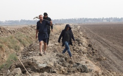 الصورة: أزمة المياه تبدد أحلام العراق بالاكتفاء الذاتي من القمح