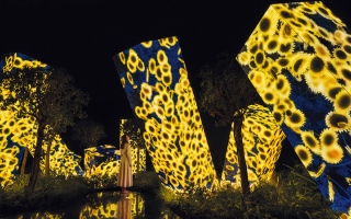 الصورة: رحلة فنية متوهجة في أبوظبي.. &laquo;بين الشموس والجذور&raquo;